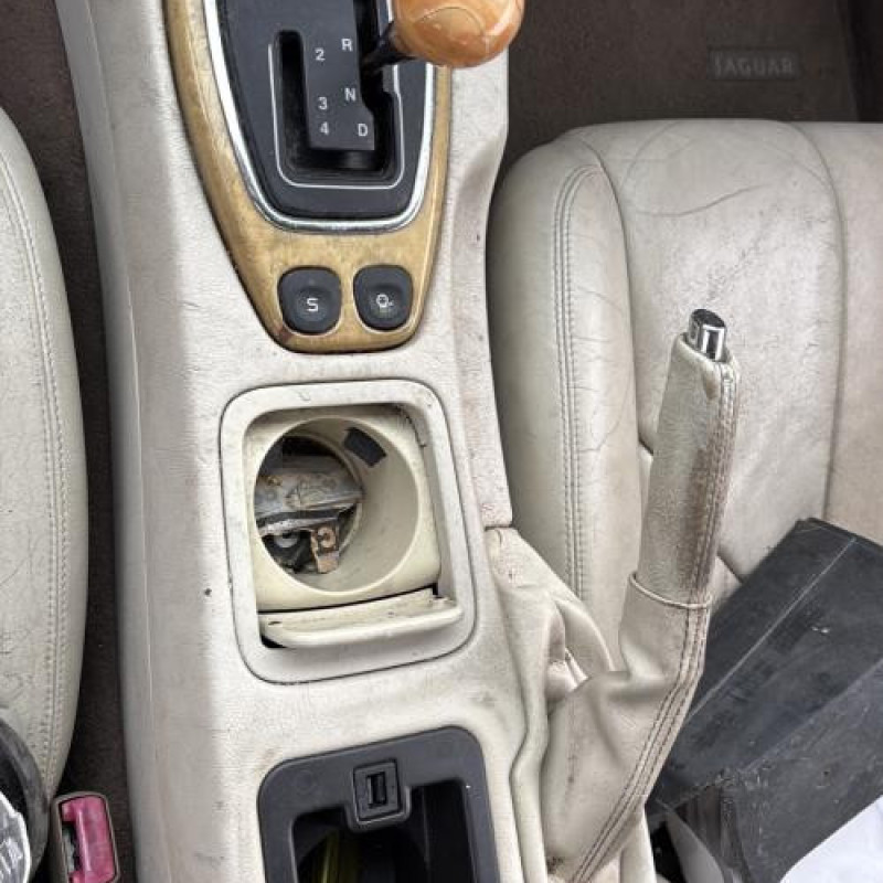 Custode arriere gauche (porte) JAGUAR S-TYPE Photo n°12