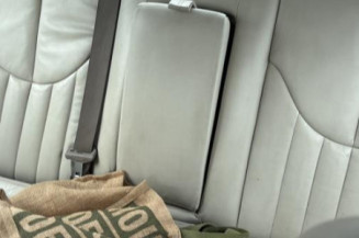 Custode arriere gauche (porte) JAGUAR S-TYPE