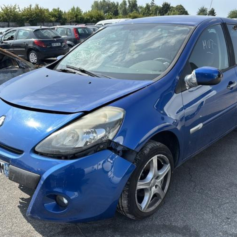 Neiman RENAULT CLIO 3 Photo n°4