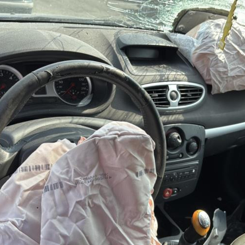 Neiman RENAULT CLIO 3 Photo n°19