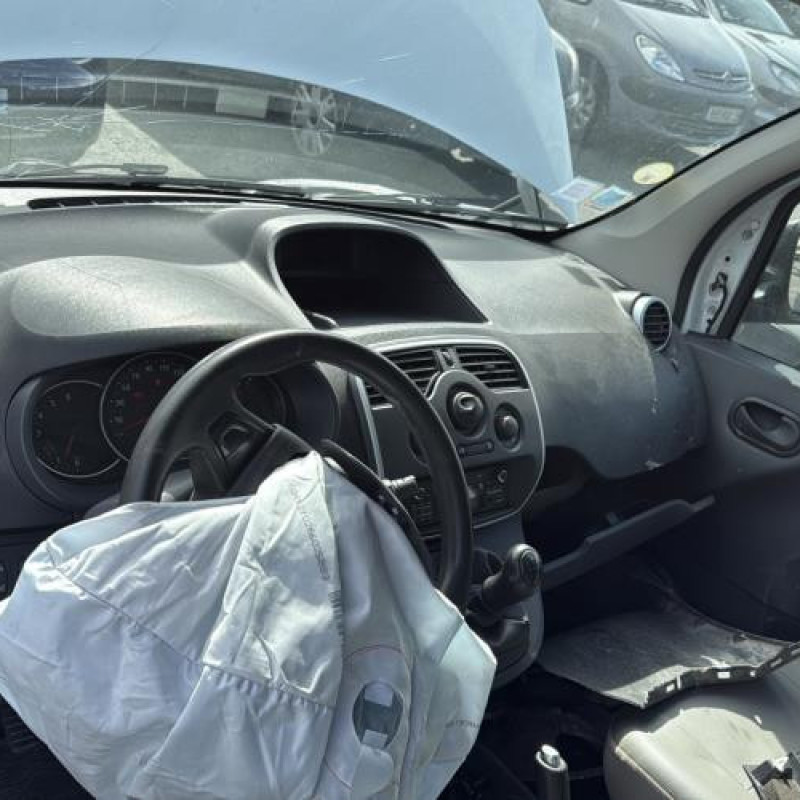 Poignee porte coffre gauche RENAULT KANGOO 2 Photo n°16