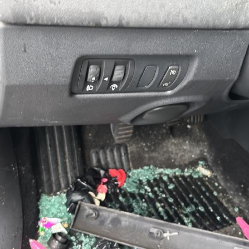 Leve vitre electrique avant droit RENAULT MEGANE 2 Photo n°20