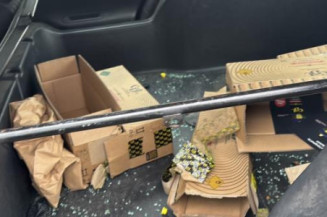 Leve vitre electrique avant gauche RENAULT MEGANE 2