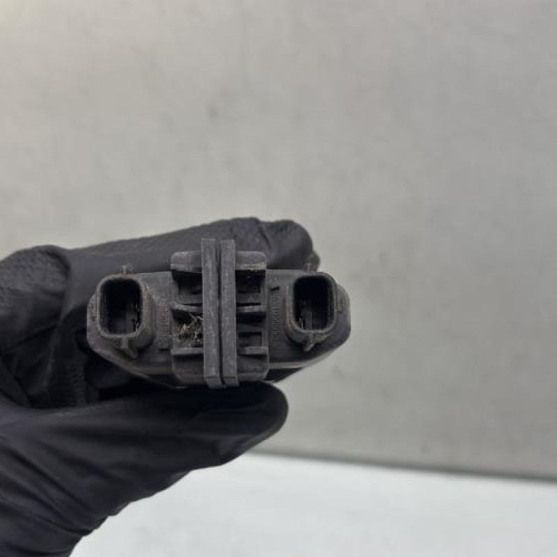 Eclairage de plaque RENAULT MEGANE 4 Photo n°3