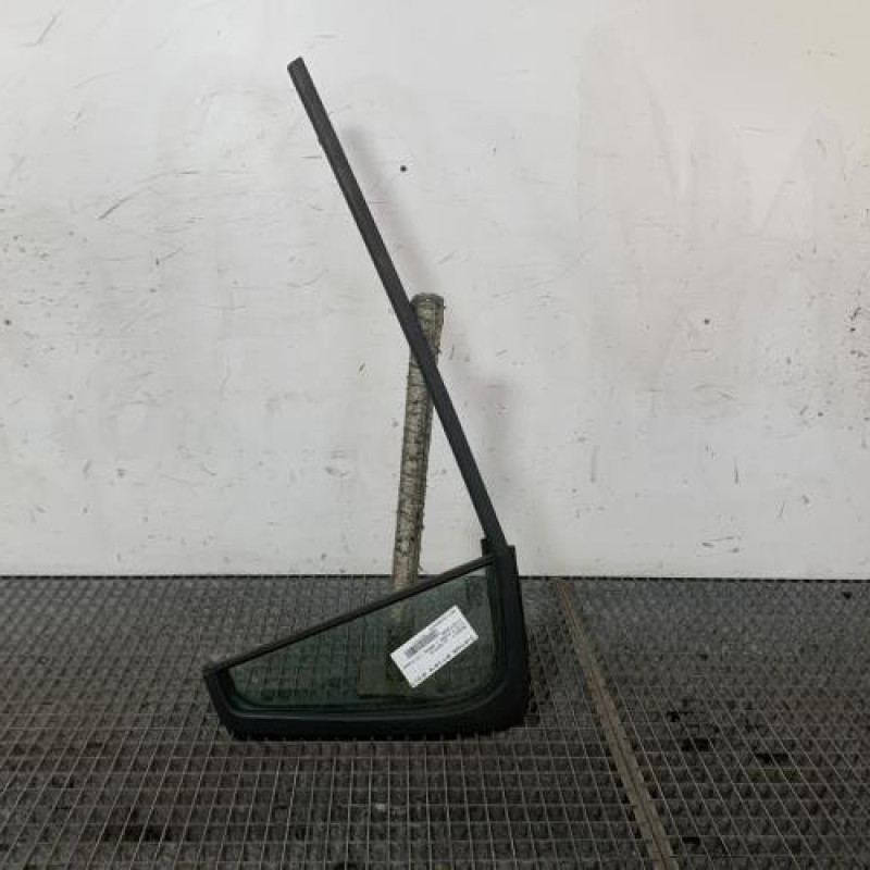 Custode arriere droit (porte) RENAULT CLIO 3 Photo n°1