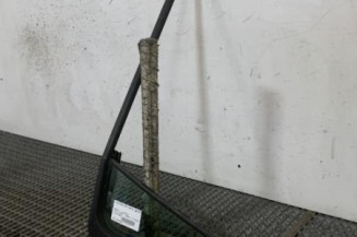 Custode arriere gauche (porte) RENAULT CLIO 3