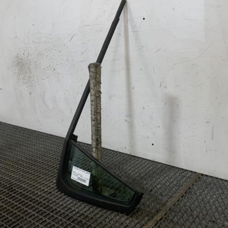 Custode arriere gauche (porte) RENAULT CLIO 3 Photo n°3