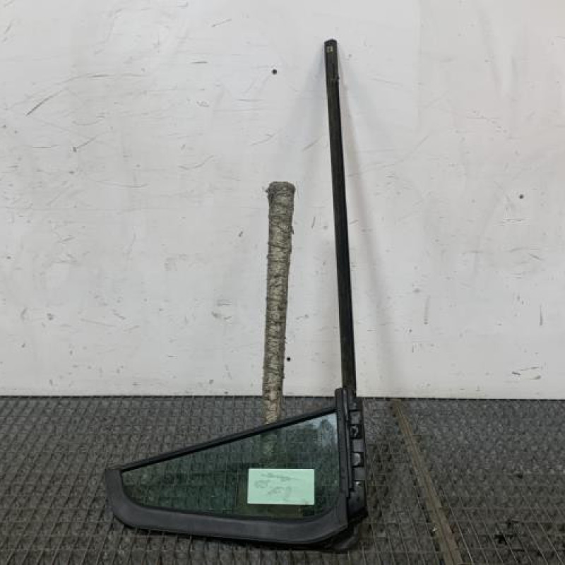 Custode arriere gauche (porte) RENAULT CLIO 3 Photo n°5