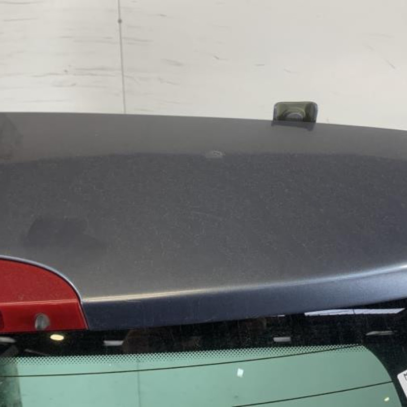 Malle/Hayon arriere RENAULT CLIO 3 Photo n°3