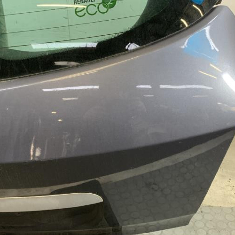 Malle/Hayon arriere RENAULT CLIO 3 Photo n°4
