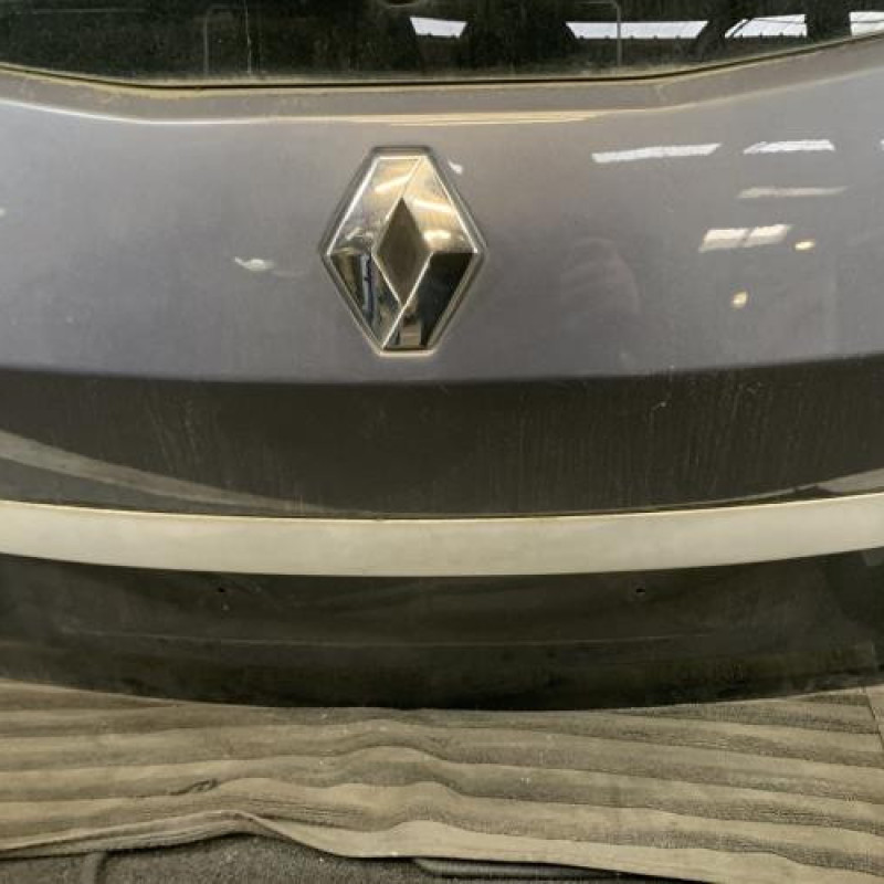 Malle/Hayon arriere RENAULT CLIO 3 Photo n°5