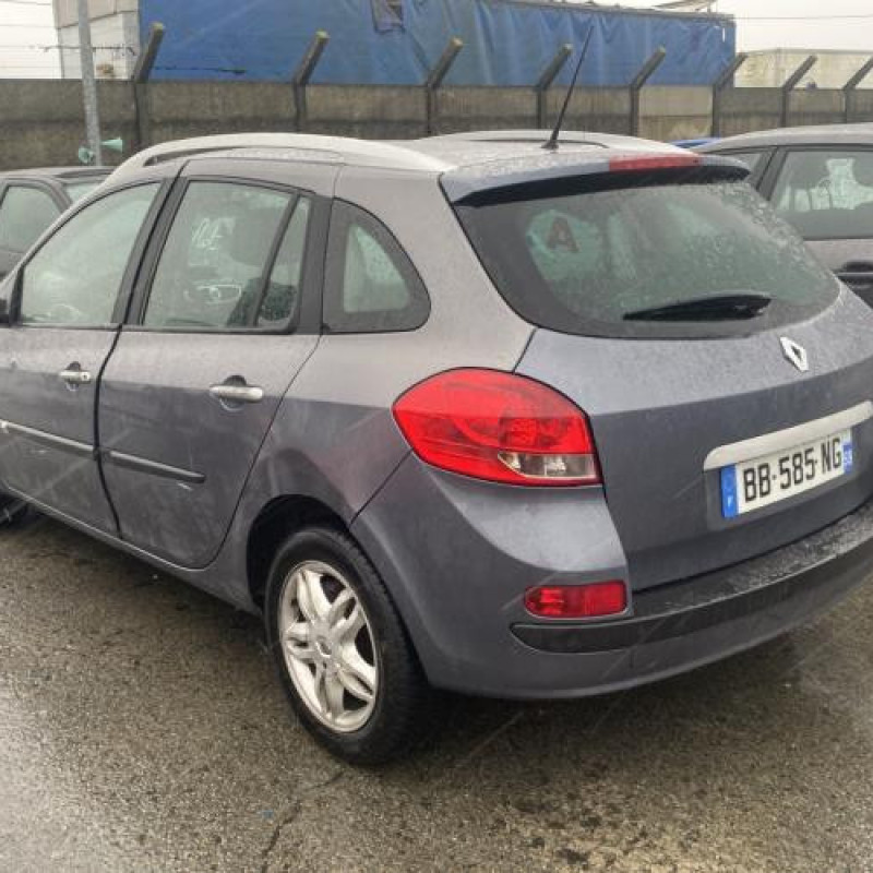 Malle/Hayon arriere RENAULT CLIO 3 Photo n°11