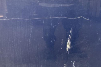 Porte arriere gauche FORD FOCUS 3