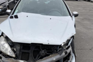 Feu arriere principal droit (feux) PEUGEOT 206