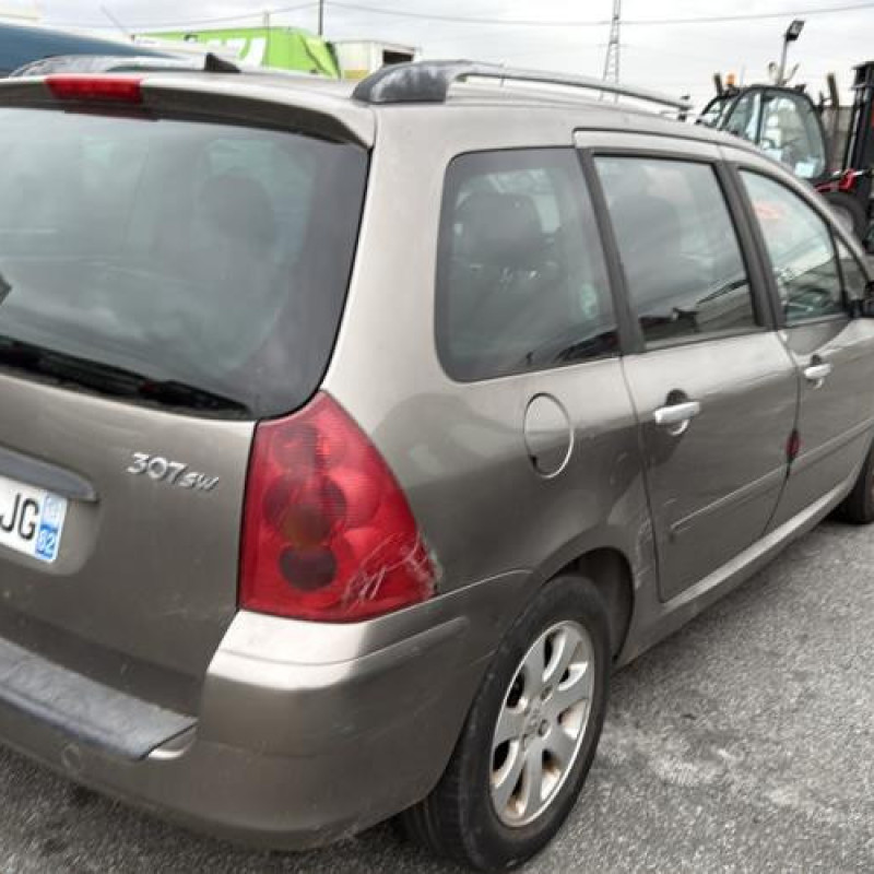 Custode avant gauche (porte) PEUGEOT 307 Photo n°7