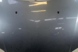 Capot CITROEN C4 1 Photo n°1