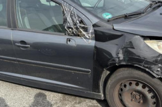 Lunette arriere PEUGEOT 207