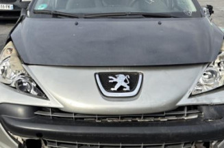 Lunette arriere PEUGEOT 207