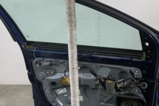 Porte avant gauche VOLKSWAGEN POLO 4