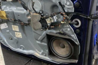 Porte avant gauche VOLKSWAGEN POLO 4