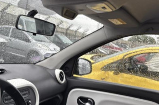 Porte arriere gauche RENAULT TWINGO 3