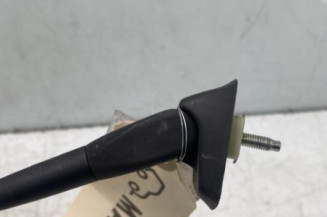 Antenne RENAULT KANGOO 2