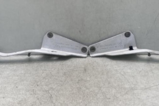 Charniere de capot RENAULT KANGOO 2 Photo n°1