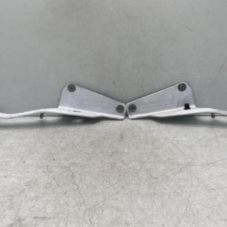 Charniere de capot RENAULT KANGOO 2 Photo n°1