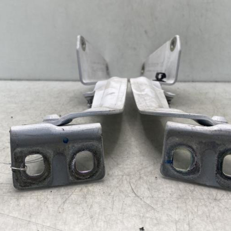 Charniere de capot RENAULT KANGOO 2 Photo n°2