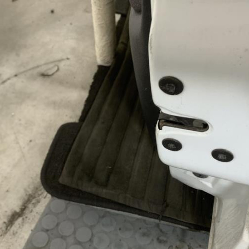 Porte avant droit RENAULT CLIO 2 Photo n°3