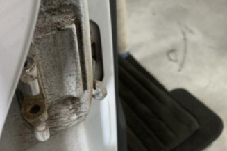 Porte avant droit RENAULT CLIO 2