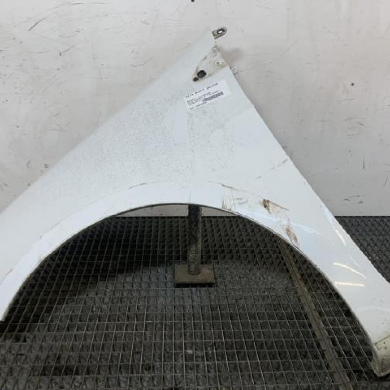 Aile avant gauche RENAULT CLIO 3 Photo n°1