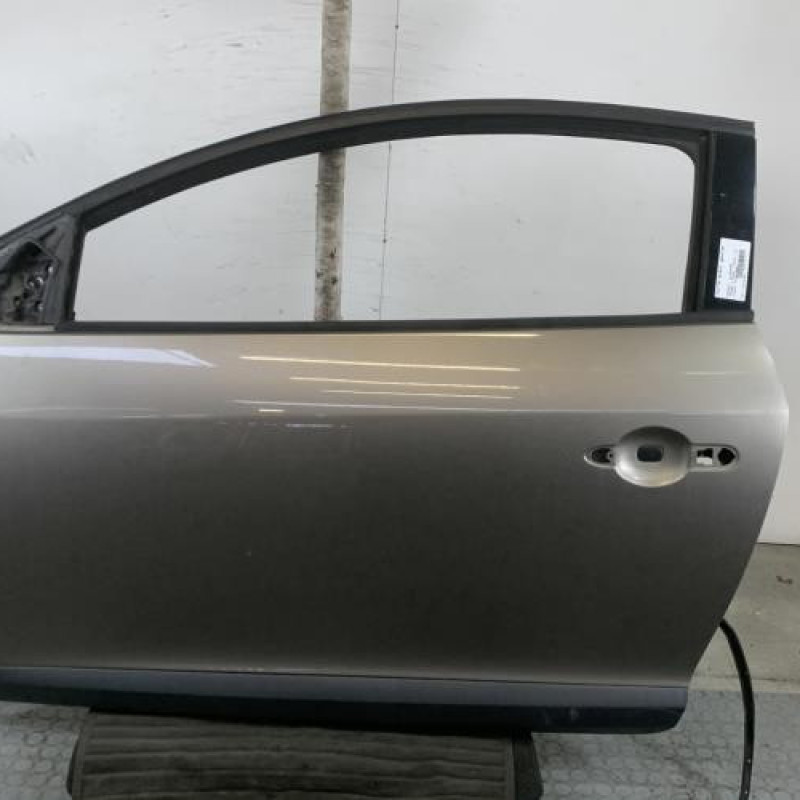 Porte avant gauche RENAULT MEGANE 3 Photo n°1