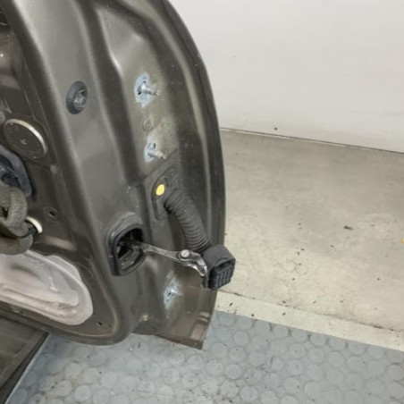 Porte avant gauche RENAULT MEGANE 3