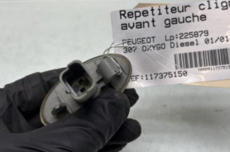 Repetiteur clignotant avant gauche (Feux) PEUGEOT 307