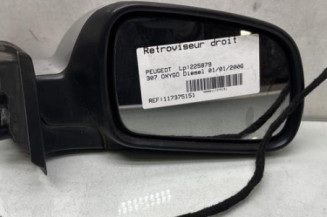 Retroviseur droit PEUGEOT 307 Photo n°1