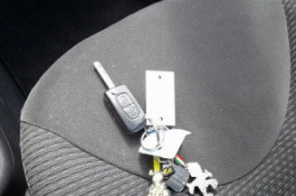 Vitre arriere gauche CITROEN C3 1