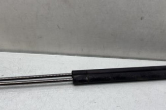 Verin de coffre PEUGEOT 206 Photo n°1