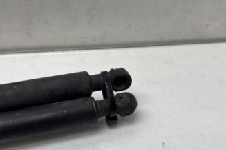 Verin de coffre PEUGEOT 206