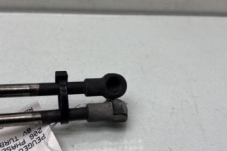 Verin de coffre PEUGEOT 206