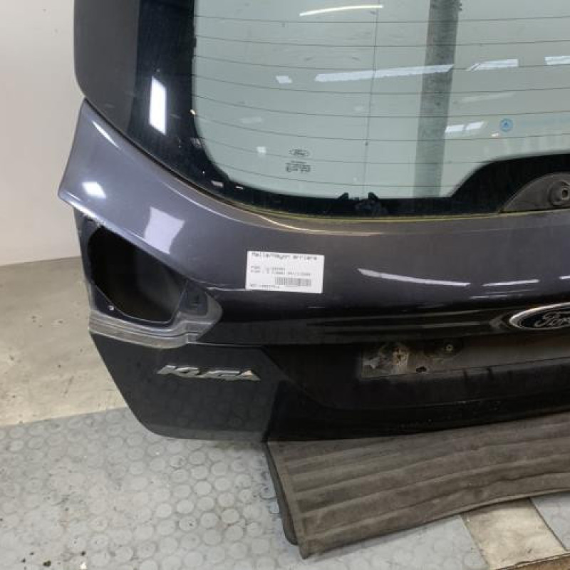 Malle/Hayon arriere FORD KUGA 1 Photo n°5