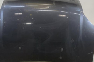 Capot FORD FUSION Photo n°1