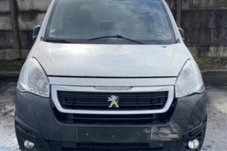 Baguette de porte avant gauche PEUGEOT PARTNER 2