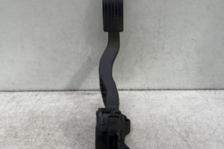 Pedale d'accelerateur PEUGEOT 207 Photo n°1