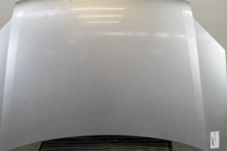 Capot PEUGEOT PARTNER 1 Photo n°1