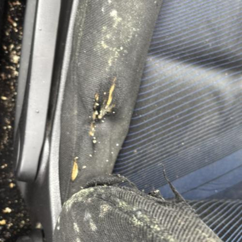 Aile avant droit PEUGEOT 307 Photo n°17