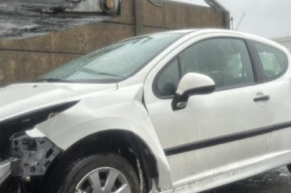 Feu arriere principal droit (feux) PEUGEOT 207