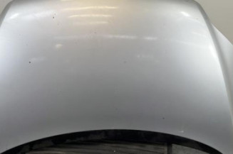 Capot VOLKSWAGEN GOLF PLUS Photo n°1