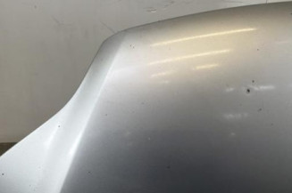 Capot VOLKSWAGEN GOLF PLUS