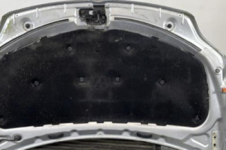 Capot VOLKSWAGEN GOLF PLUS